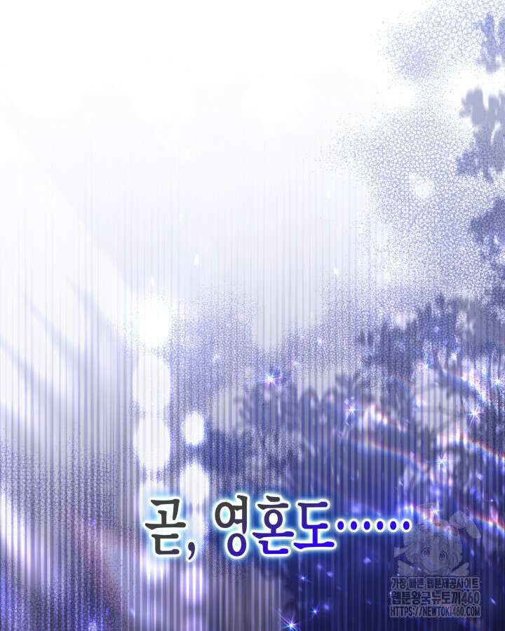 가짜를 위한 장소는 없다 61화 8