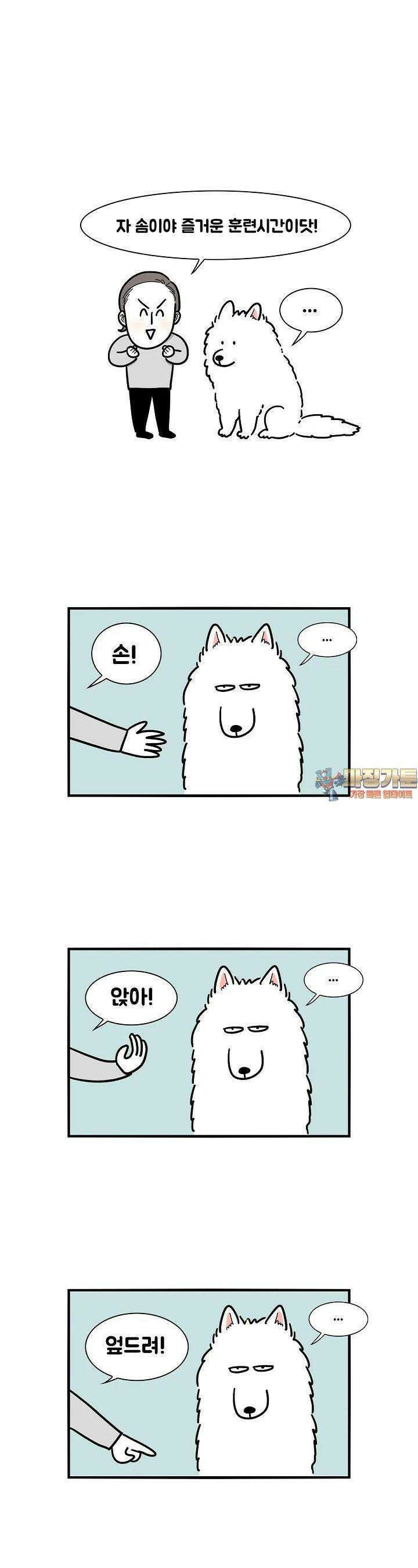 극한견주 2화 훈련극한견주 2화 훈련 1