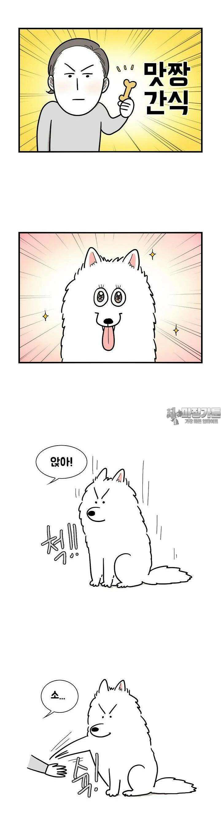 극한견주 2화 훈련극한견주 2화 훈련 3