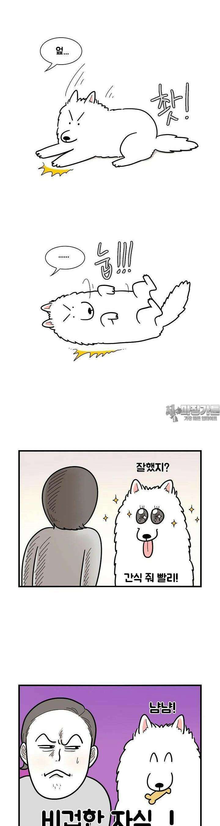 극한견주 2화 훈련극한견주 2화 훈련 4
