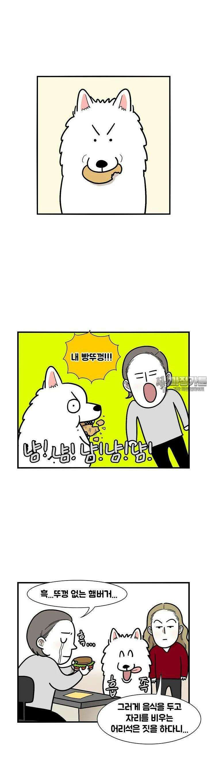 극한견주 9화 음식 3