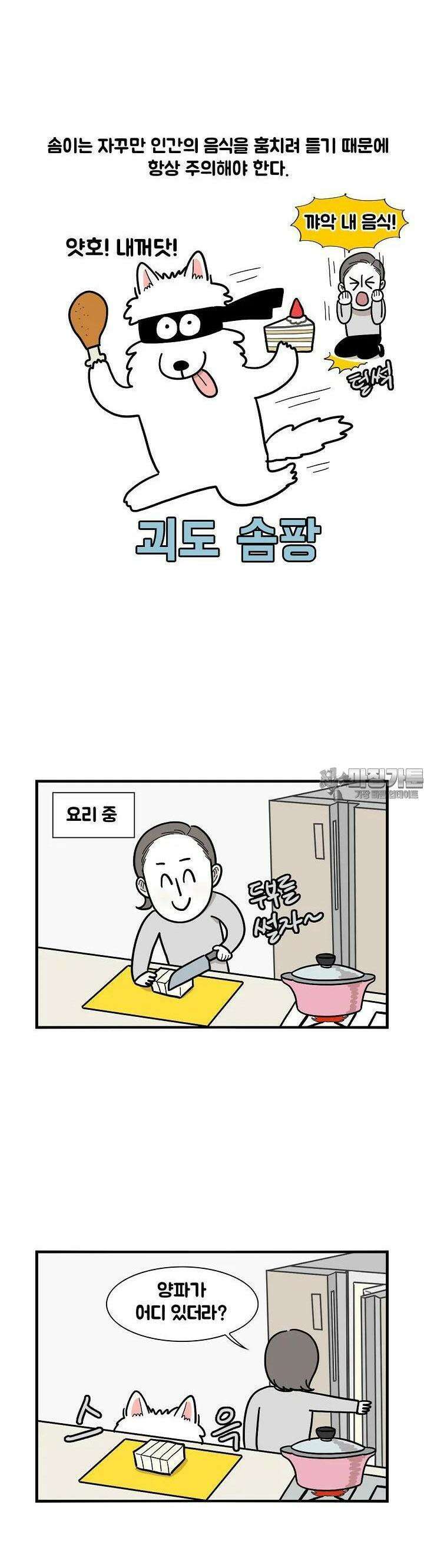 극한견주 9화 음식 4