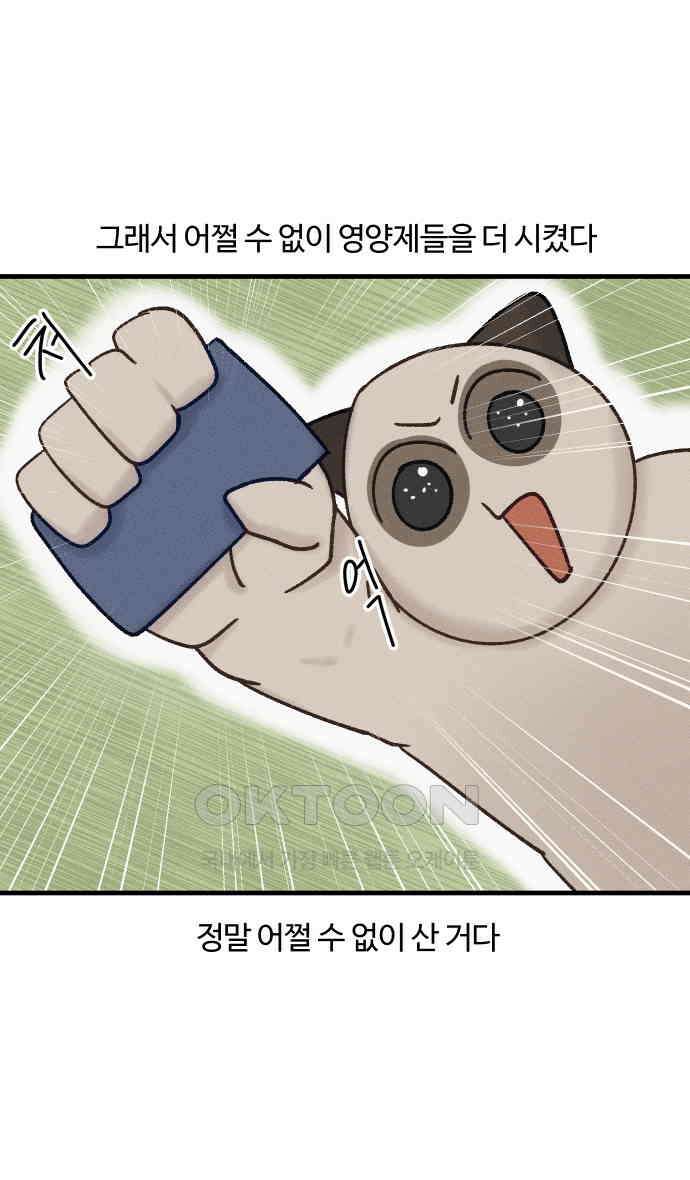 구야는 신입 23화 6