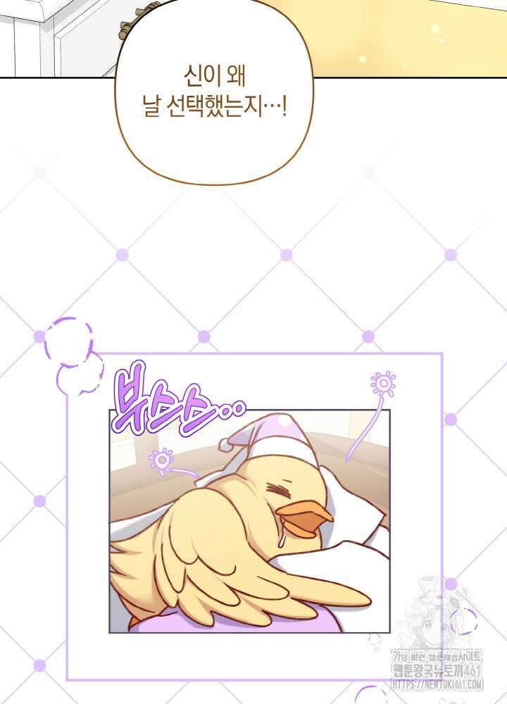 조연 오리는 파혼만을 기다립니다 30화 8