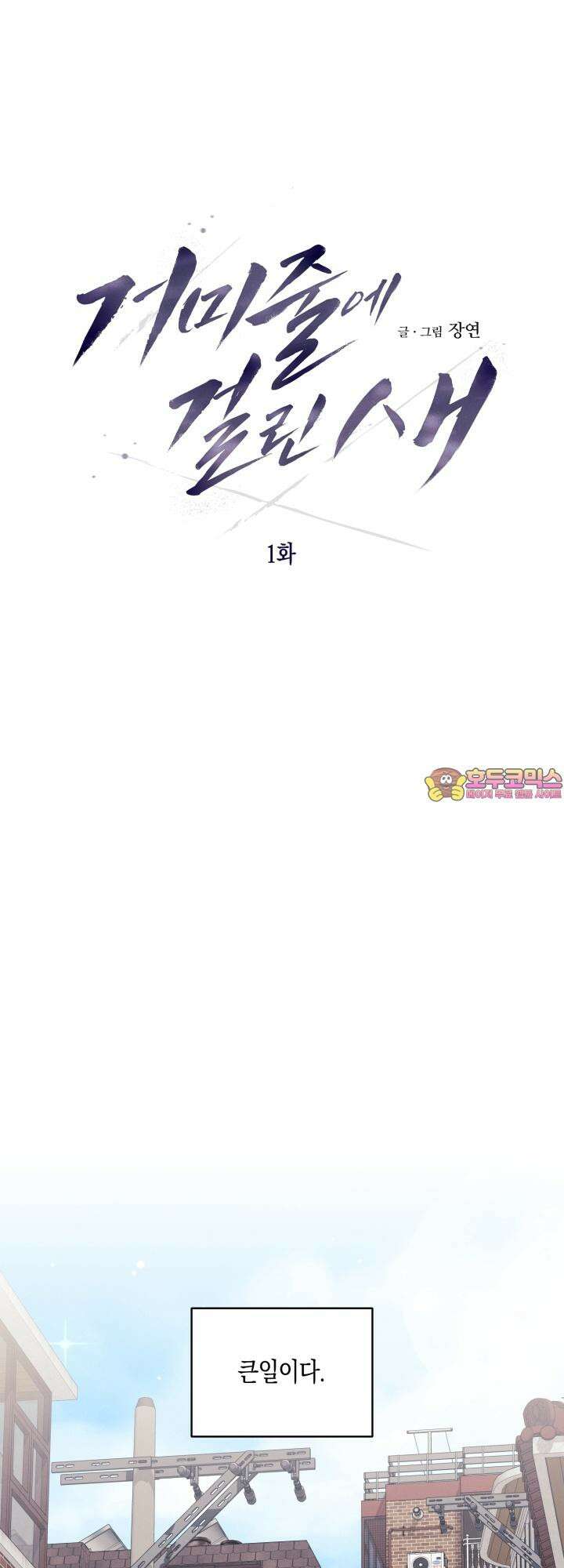 거미줄에 걸린 새 1화 1