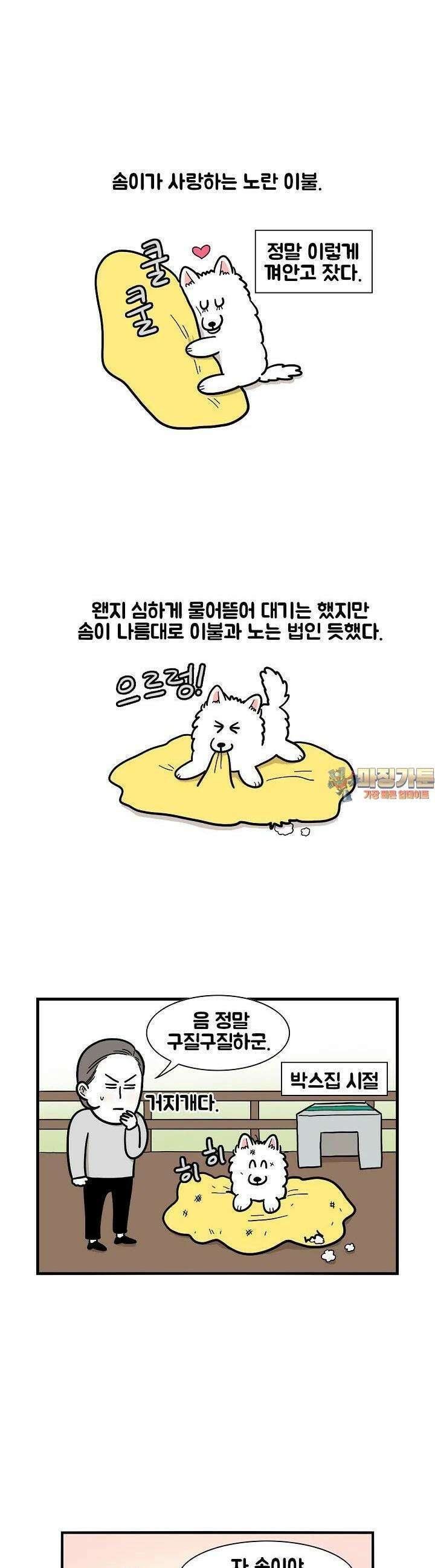 극한견주 27화 이불, 고양이 1