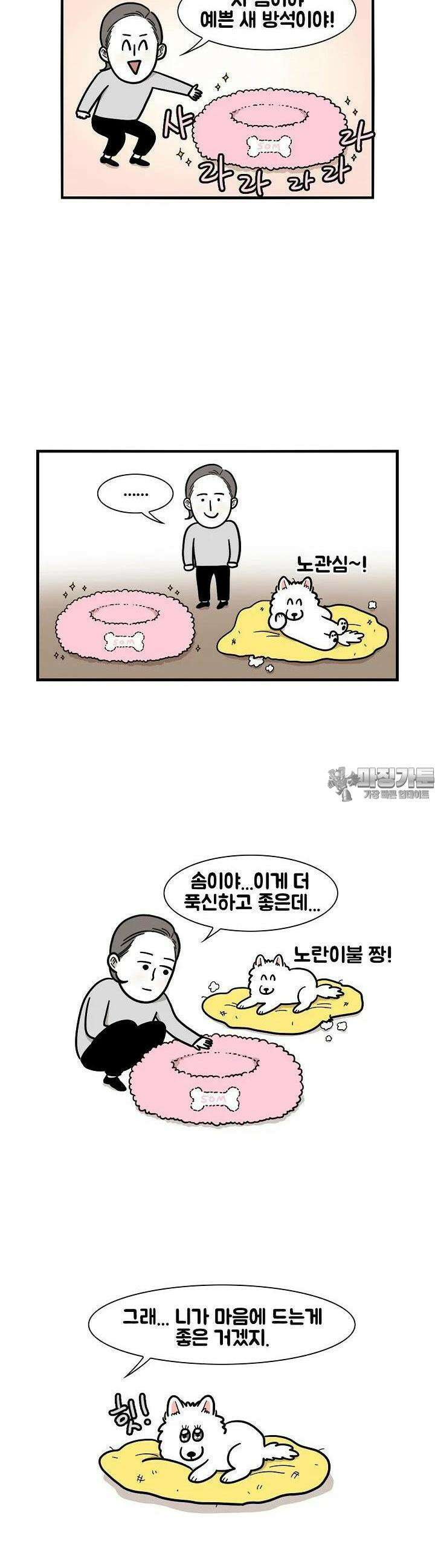 극한견주 27화 이불, 고양이 2