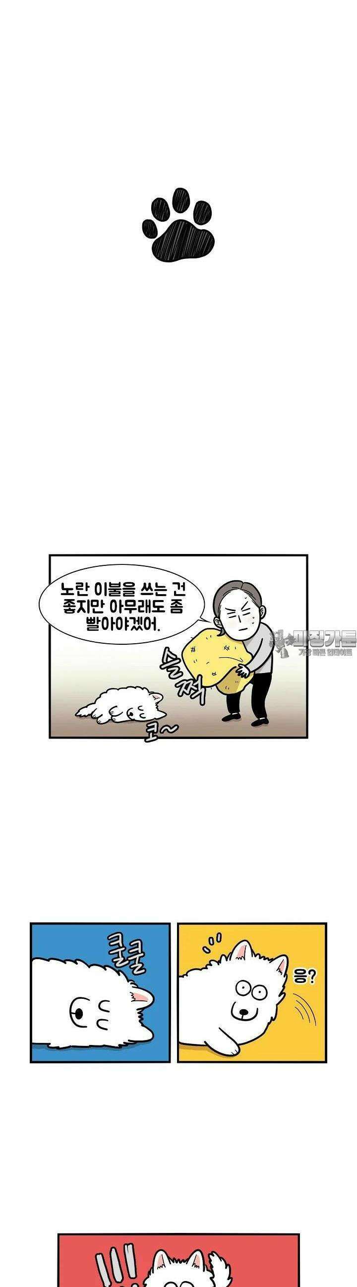 극한견주 27화 이불, 고양이 3
