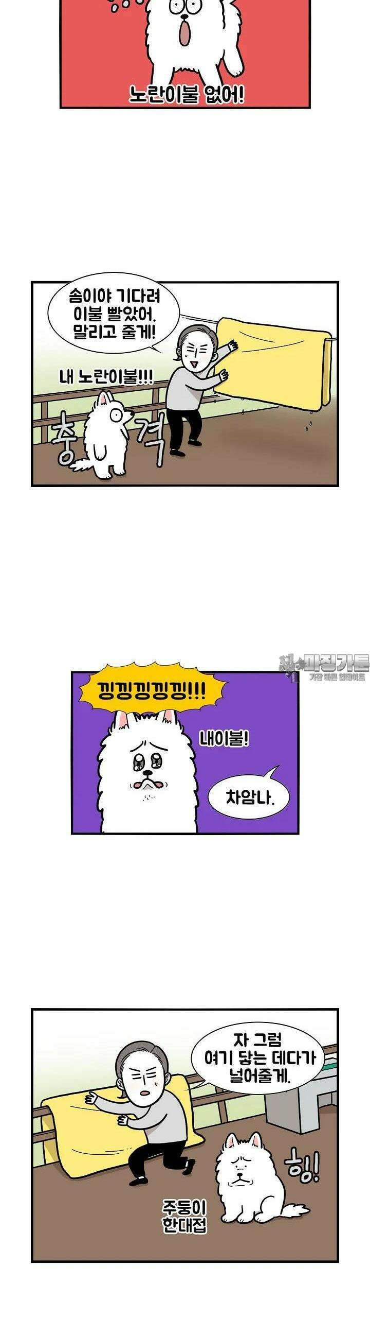 극한견주 27화 이불, 고양이 4