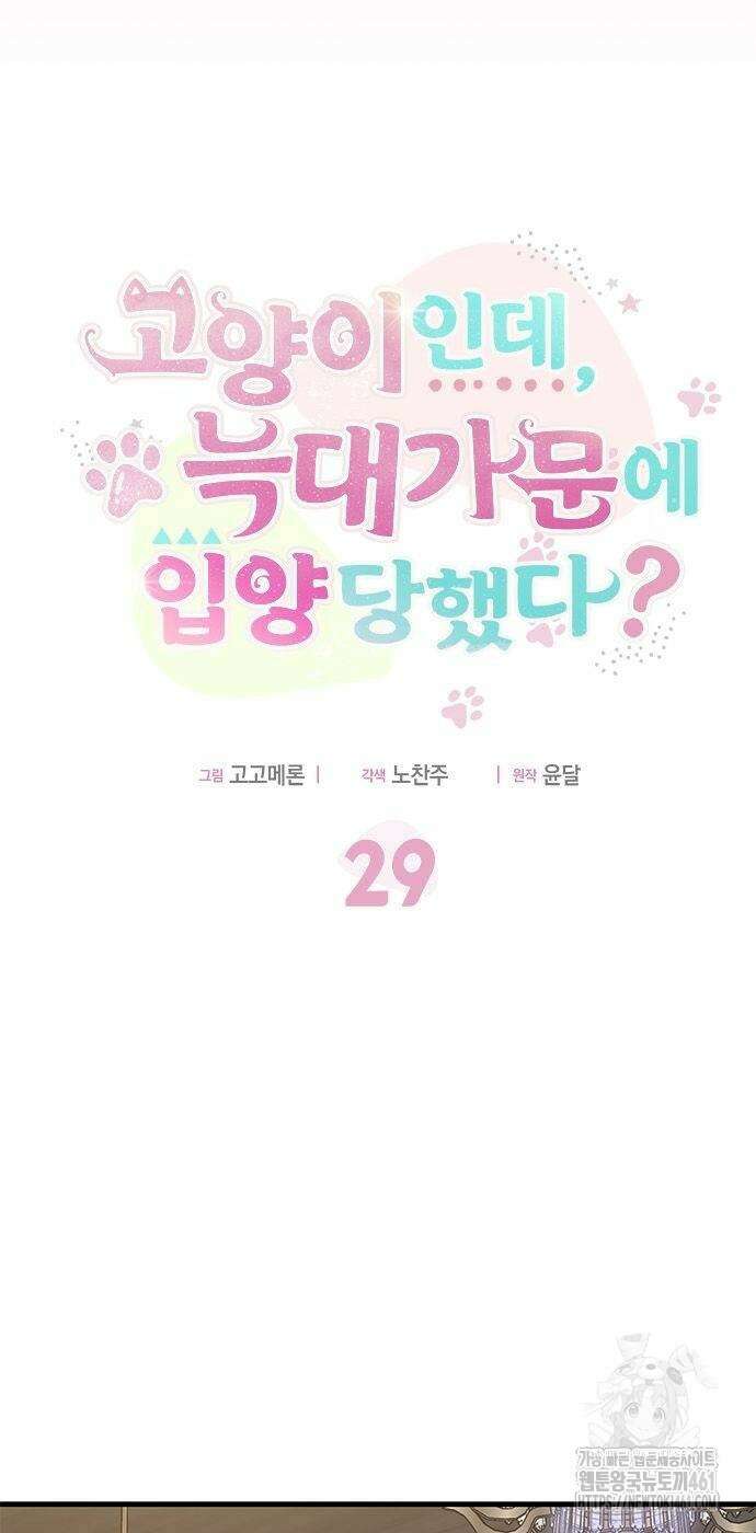 고양이인데, 늑대 가문에 입양당했다? 29화 8