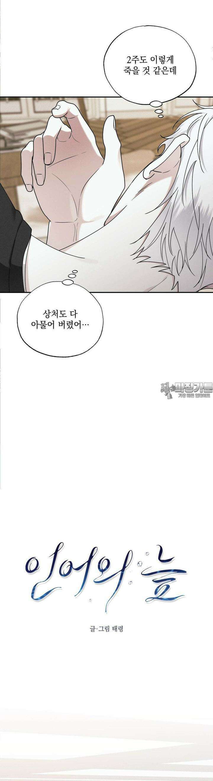 인어의 늪 12화 9