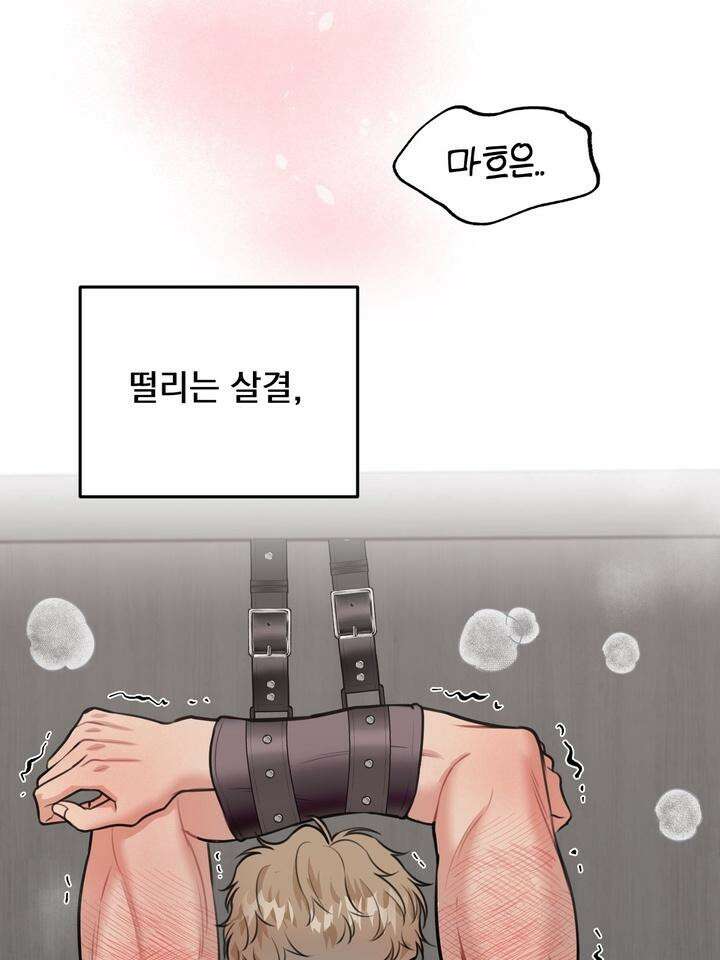BDSM 기본지침서 8화 26