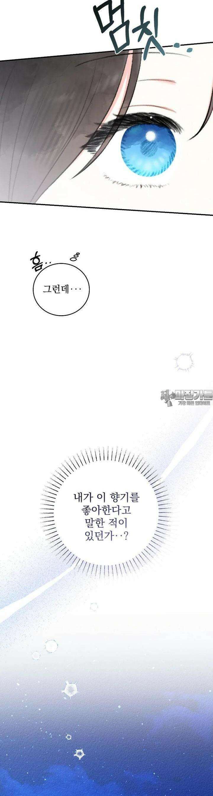알리사와 마법일기 13화 43