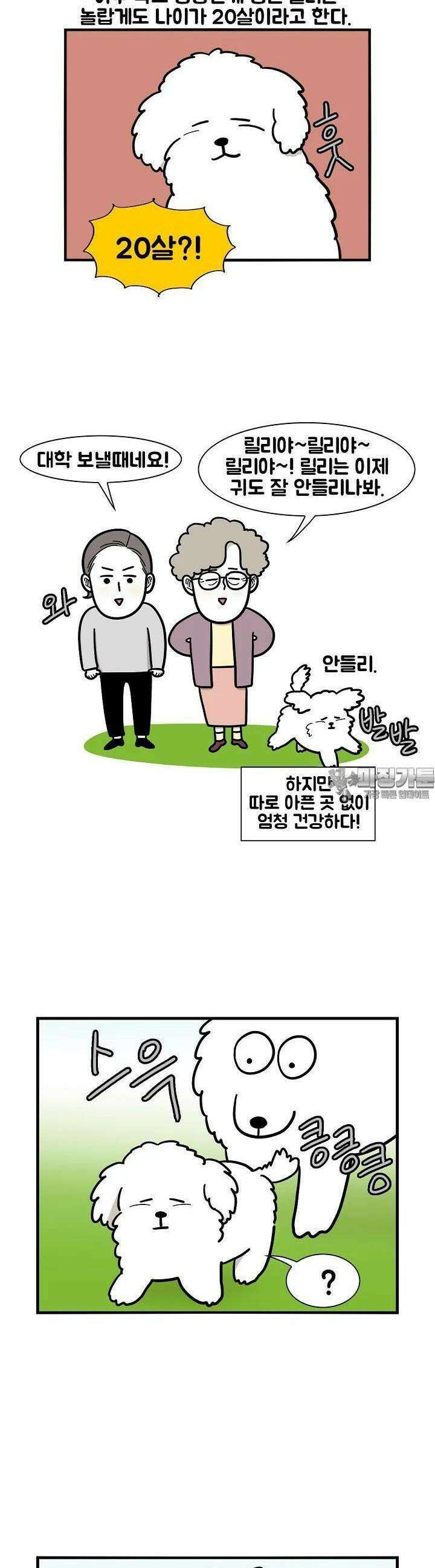 극한견주 36화 동네 개친구들 3