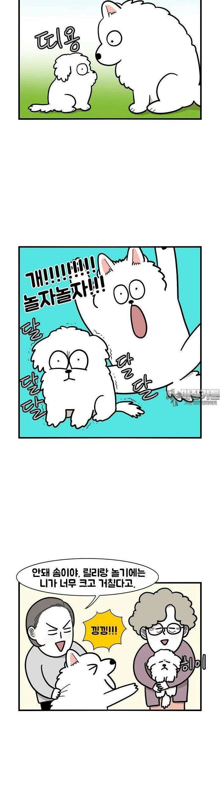 극한견주 36화 동네 개친구들 4