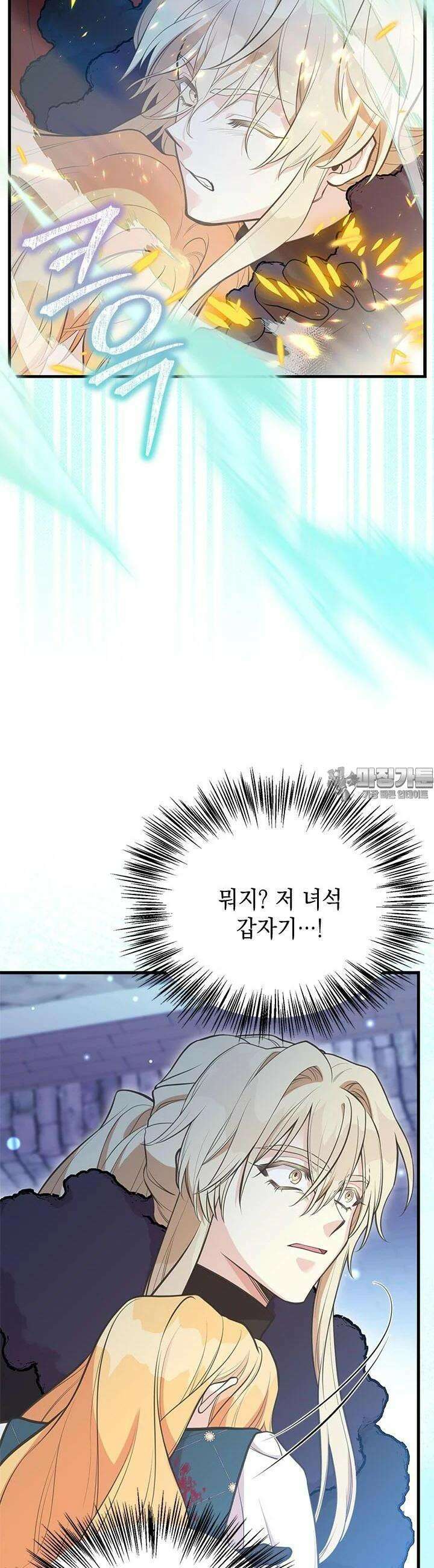 언니가 남자 주인공을 주워 왔다 94화 20