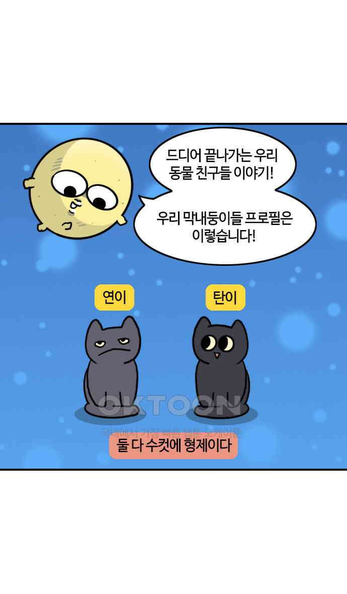 유부 감자 57화 나의 동물 친구들 (4) 2