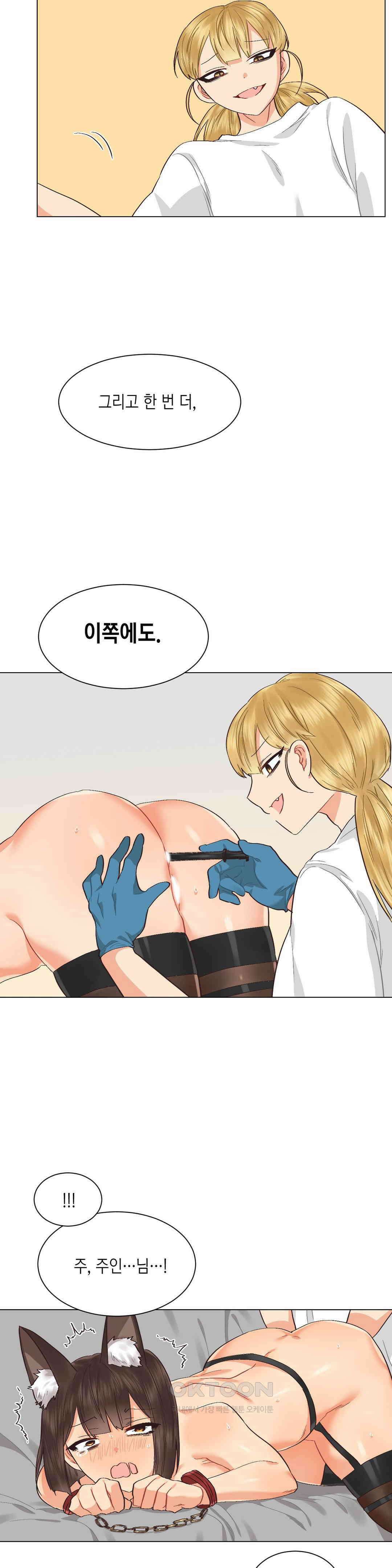 암컷교미지옥 노이의 결론 3 12
