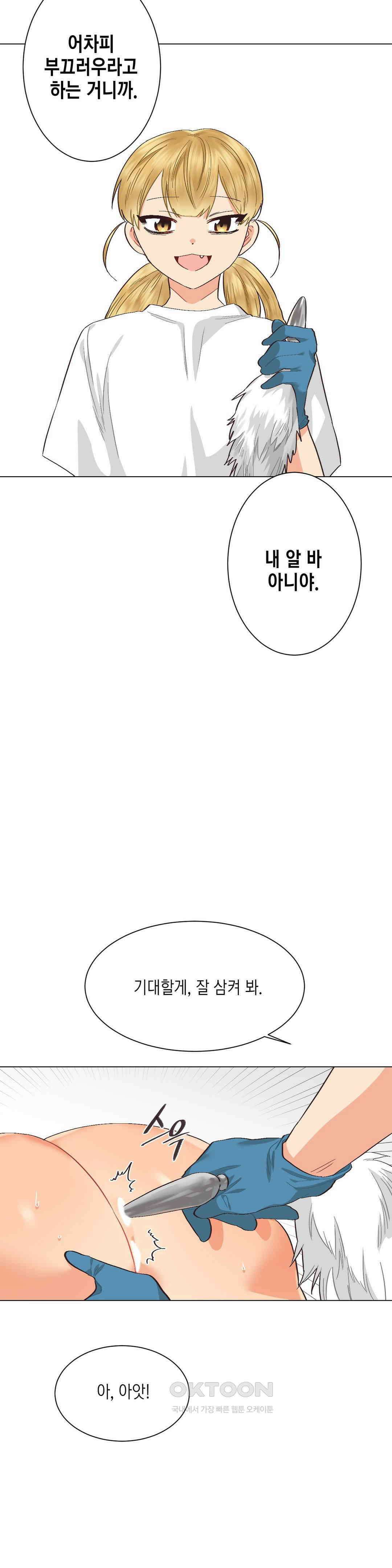 암컷교미지옥 노이의 결론 3 14