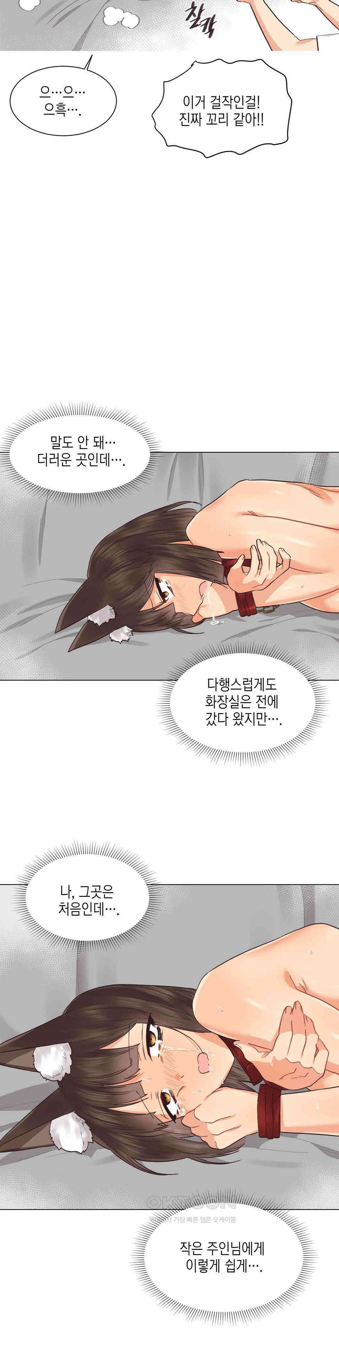 암컷교미지옥 노이의 결론 3 17