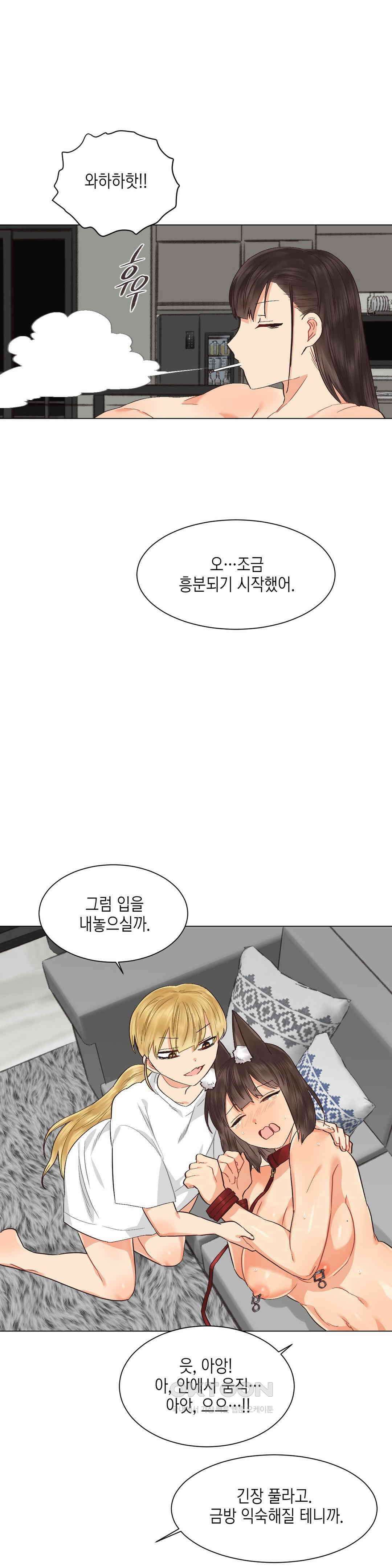 암컷교미지옥 노이의 결론 3 18