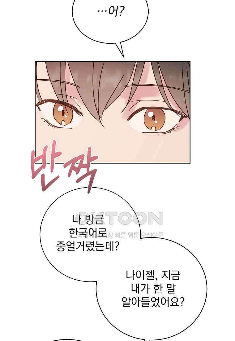 해 밝은 밤의 산책 46 6