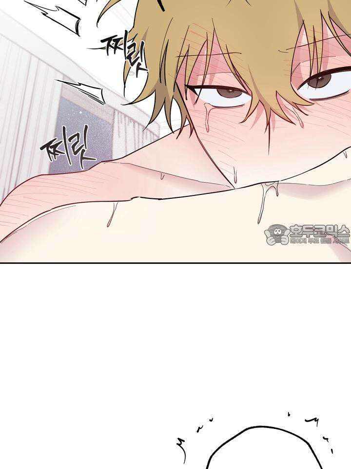 낙장불입(落張不入) 5화 15