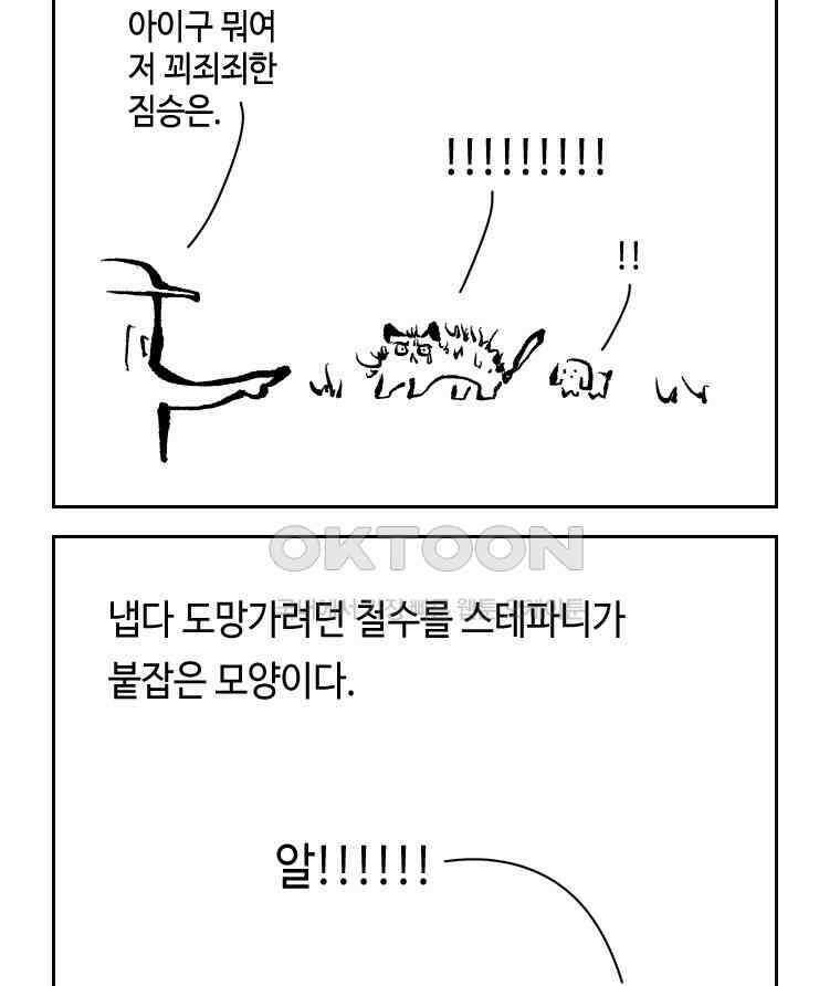 닭은 의외로 위대하다 13．결혼 이야기 2 35