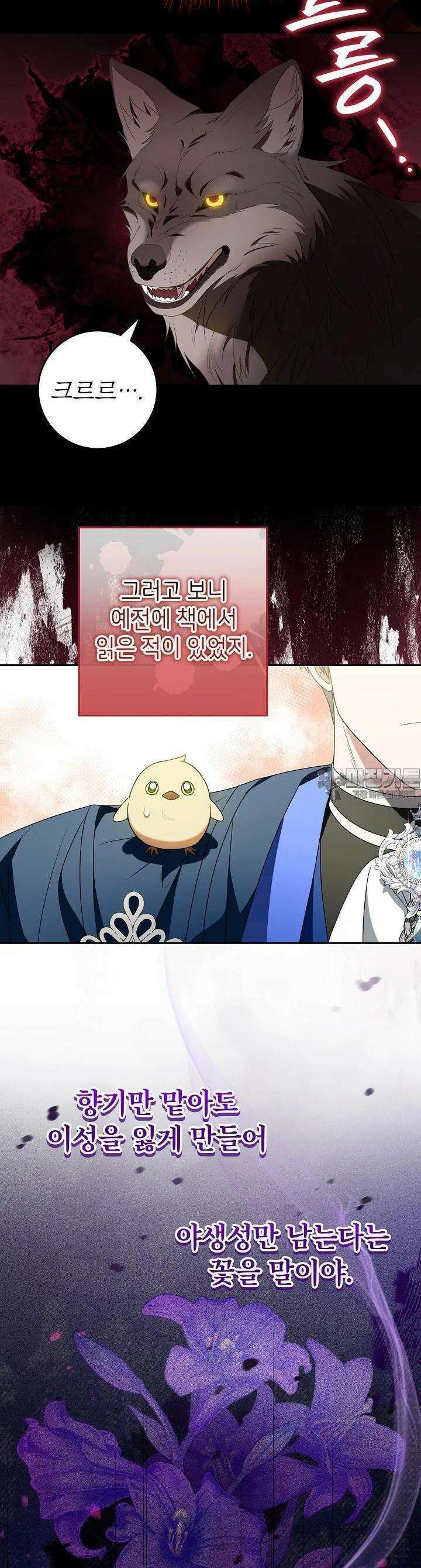 늑대 저택의 사랑받는 새아가 6화 2