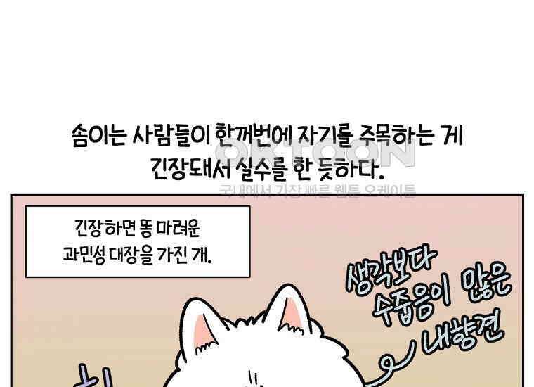극한견주 시즌2 15화 출판사 방문기(2) 8