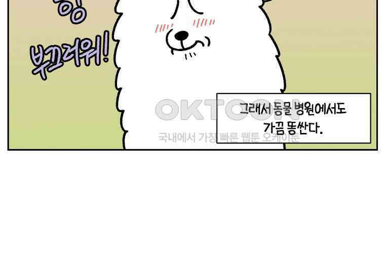 극한견주 시즌2 15화 출판사 방문기(2) 9