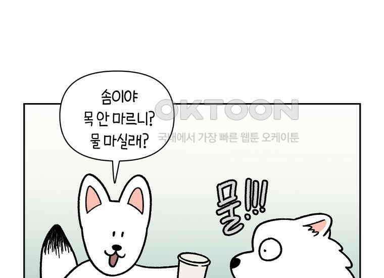 극한견주 시즌2 15화 출판사 방문기(2) 10