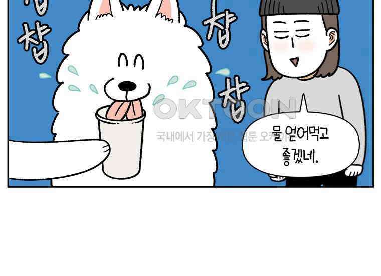 극한견주 시즌2 15화 출판사 방문기(2) 12