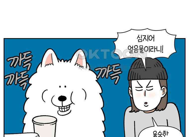 극한견주 시즌2 15화 출판사 방문기(2) 13