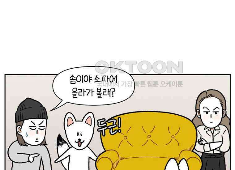극한견주 시즌2 15화 출판사 방문기(2) 30