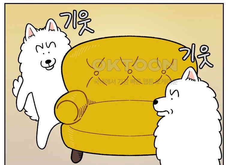 극한견주 시즌2 15화 출판사 방문기(2) 32