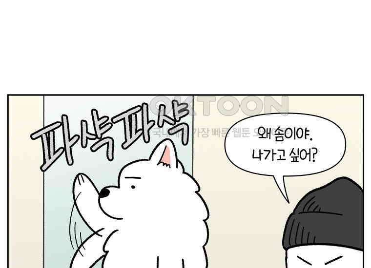 극한견주 시즌2 15화 출판사 방문기(2) 38