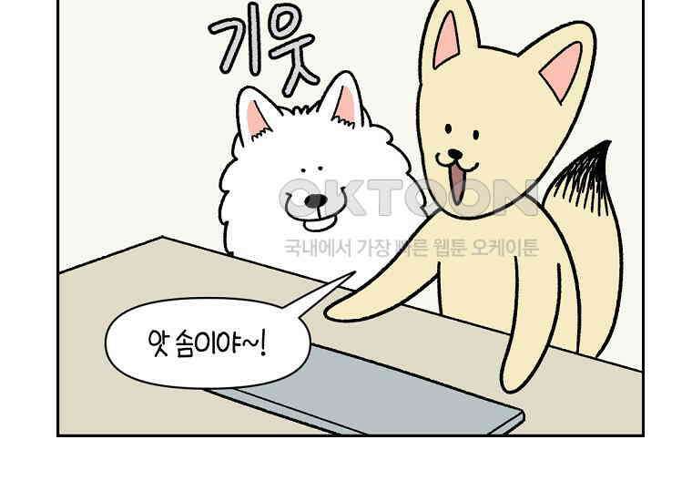 극한견주 시즌2 15화 출판사 방문기(2) 44