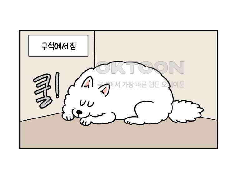 극한견주 시즌2 15화 출판사 방문기(2) 49