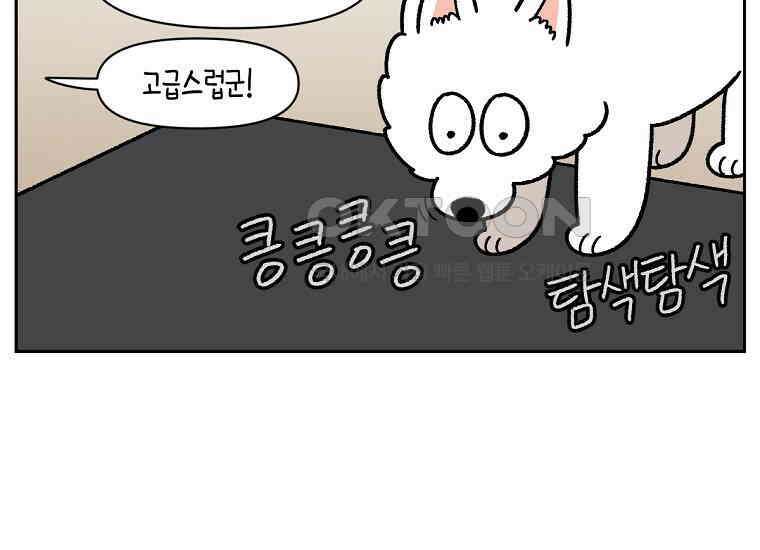 극한견주 시즌2 22화 러그 5