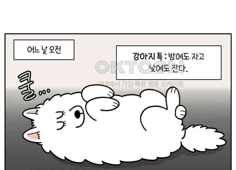극한견주 시즌2 22화 러그 25