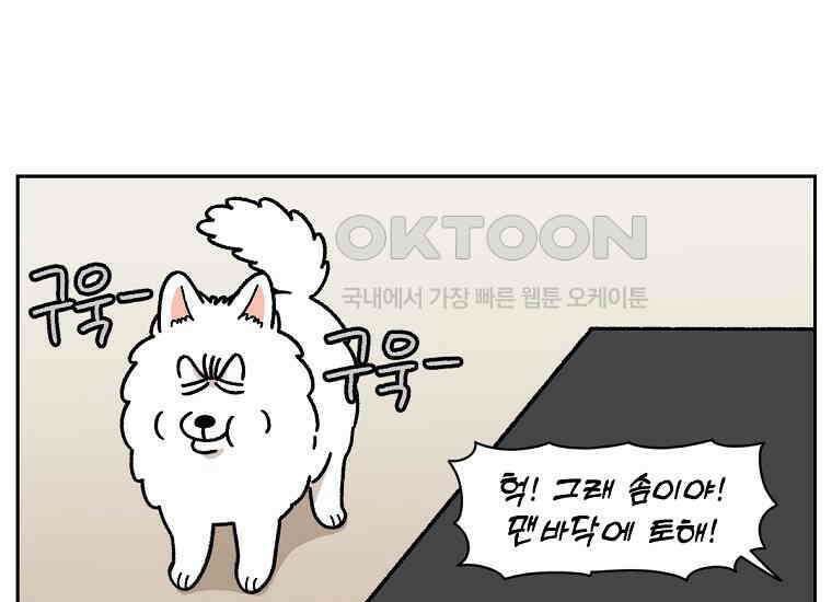 극한견주 시즌2 22화 러그 44