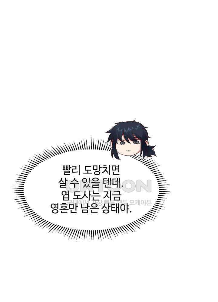 혼돈의 연단사 265 23