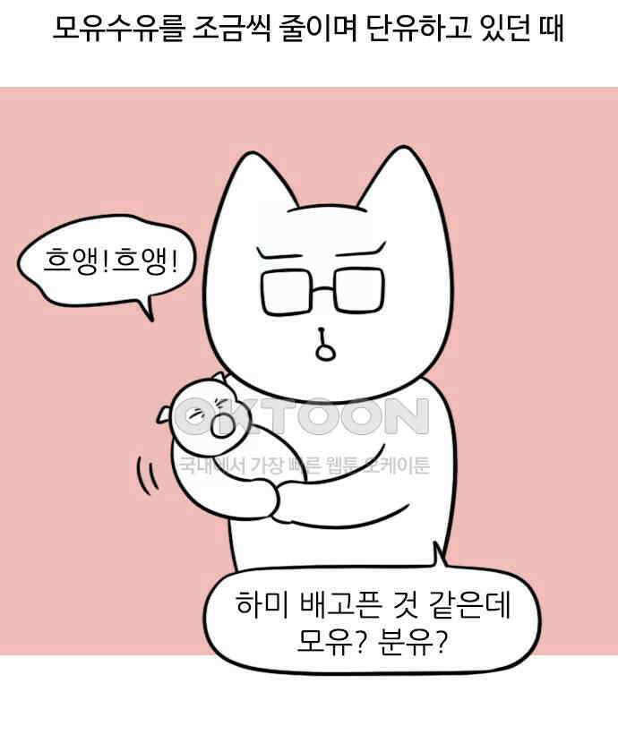 신혼일기 83화 신생아 졸업 1