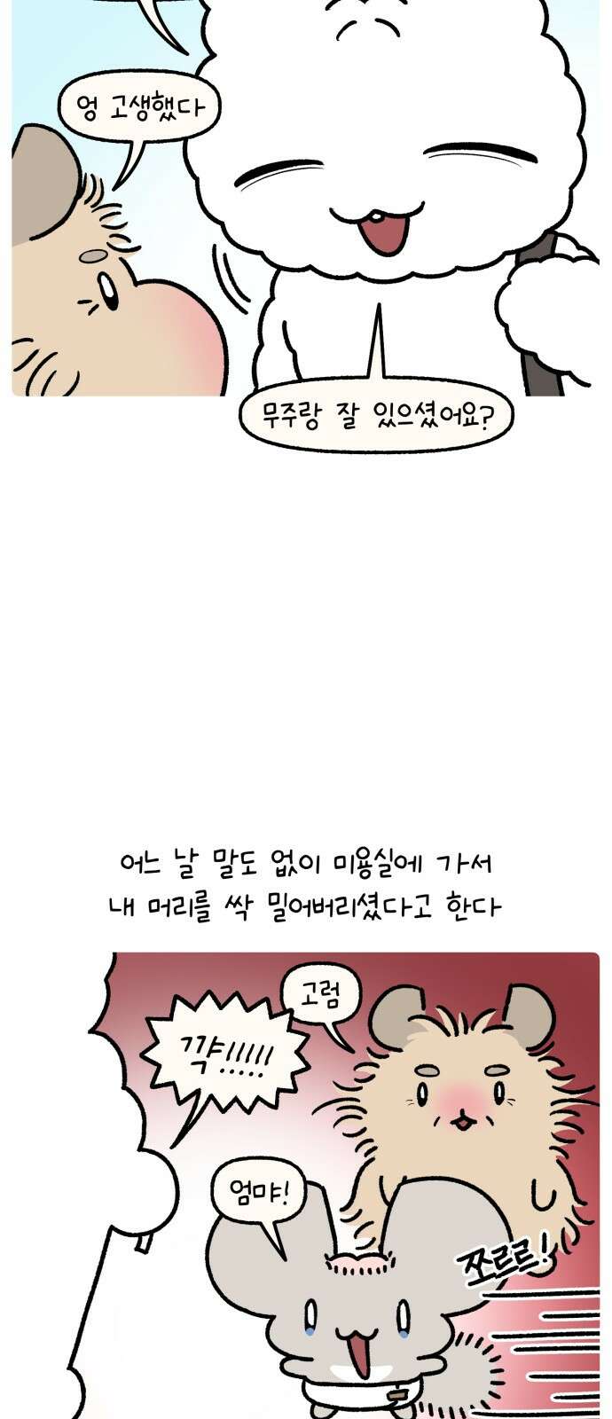 안녕, 나의 수집 162. 공주 빗 (1) 2