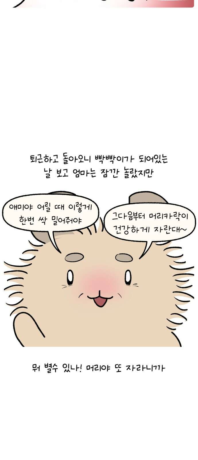 안녕, 나의 수집 162. 공주 빗 (1) 3