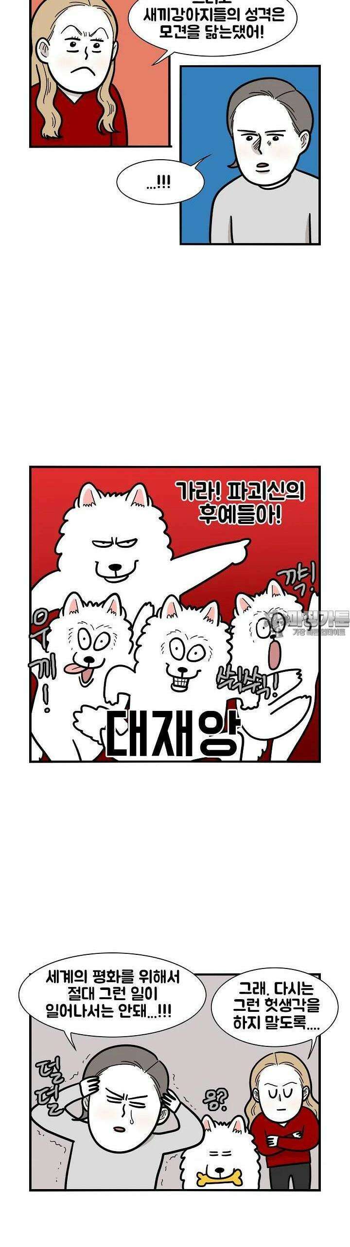 극한견주 42화 중성화 2