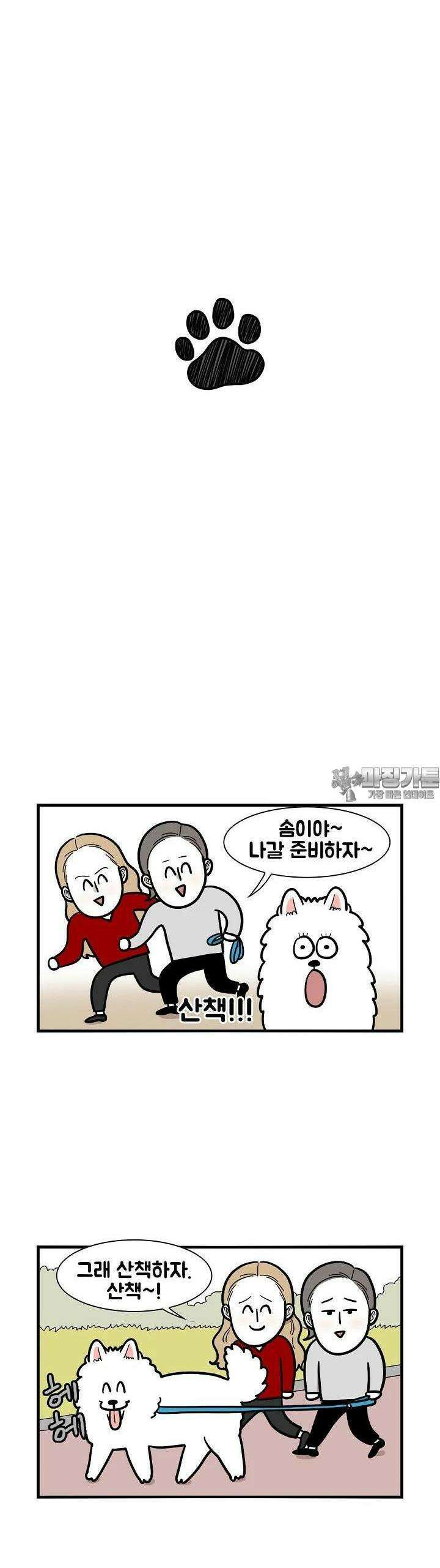 극한견주 42화 중성화 3