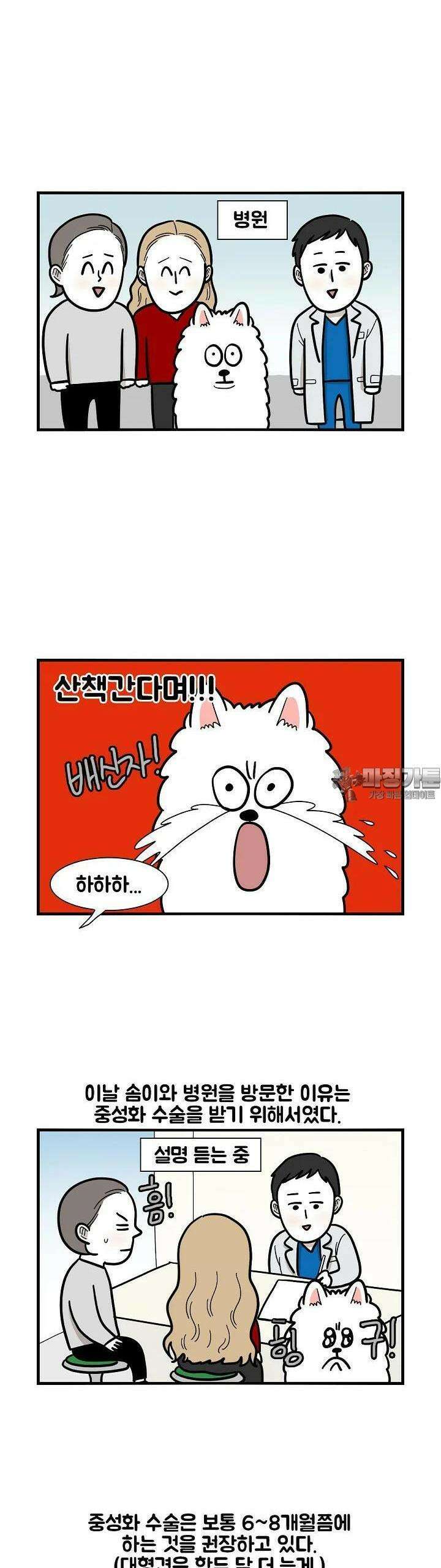 극한견주 42화 중성화 4