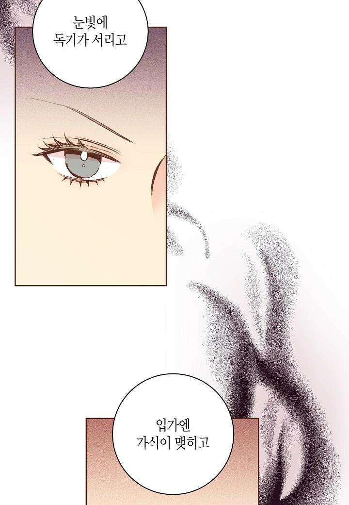 눈이 나려 꽃 311. 156화 (1) 4